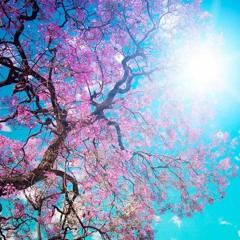 Прощай, Моя Осень