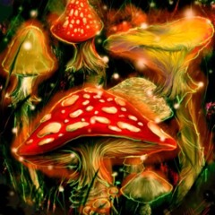 HOw THe BEASt AtE ME