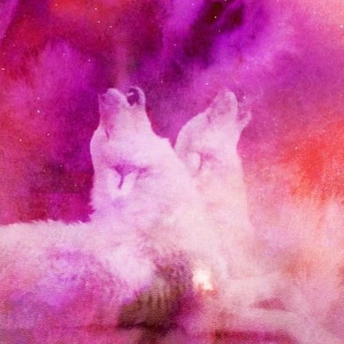 Erika Mysti live @ HOWL (Feb 2016)