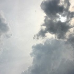 What You Know (stripped down) cover