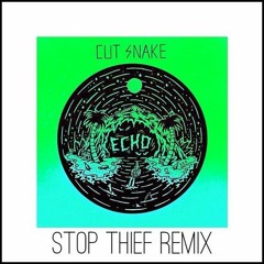 Cut Snake - Echo (Stop Thief Remix)