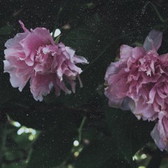 "BEFORE YOU GO, I WANT YOU TO HEAR THIS" (PROD. SAVIOR)
