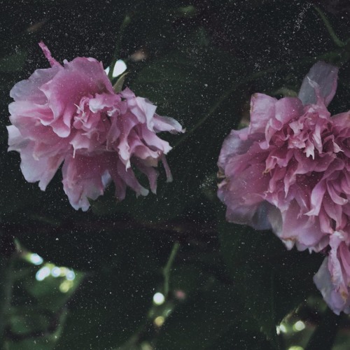 "BEFORE YOU GO, I WANT YOU TO HEAR THIS" (PROD. SAVIOR)