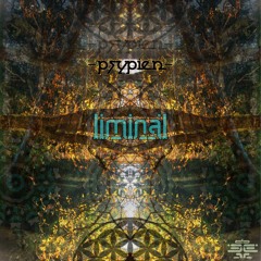 Psypien - LIMINAL Album - Preview MiniMix - OUT NOW on Psyde Effect Records!