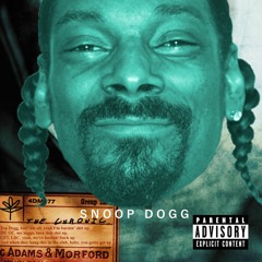 Doggsturbed - Down With the Next Episode (Dr. Dre, Snoop Dogg, Disturbed Remix)