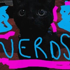 Te gusto y ni lo sabes LOVE VERSION - NERDS