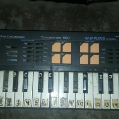 '87 Radio Shack sample Keyboard in '07