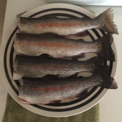 Bush did 311- YUNG MOTOROLA x U$B x Chancey E