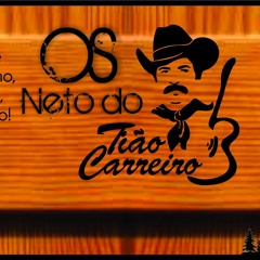 Cd Comitiva Os Netos Do Tiao Carreiro9