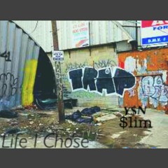 $lim -Life I Chose