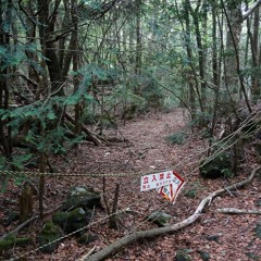 AOKIGAHARA (ft. LUCID)
