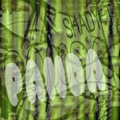 Panda remix QWIKBOII ft Shady T.mp3