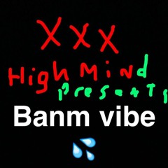 Steves J. Bryan - Banm Vibe