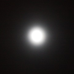 Full Moon Series e02s01 (April 2016): "Your Home" by Dark Light