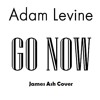 adam-levine-go-nowsing-street-ostjames-ash-cover-james-ashrhythmus