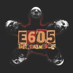 E605: Trinkerkongress (2016)
