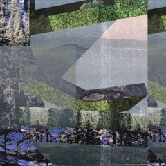 PREMIERE: Silvestre - Floresta [Diskotopia]