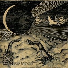 Swallow The Sun - New Moon (Mini Cover by Nour Khan)