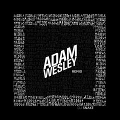 DJ Snake - The Middle (Adam Wesley Remix)