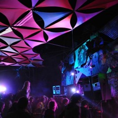 Temperamental Goat - Future Goat