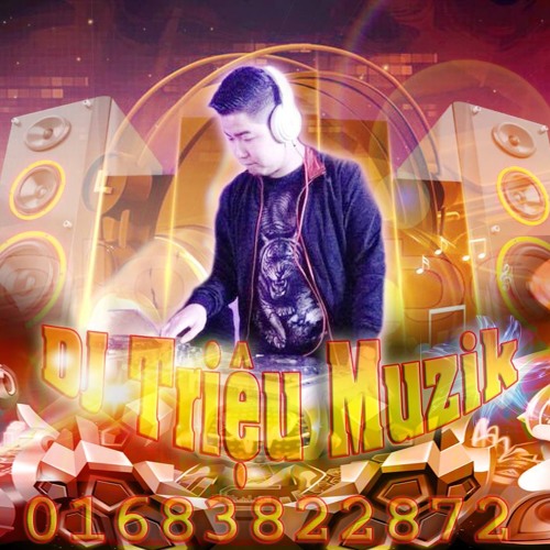 Fly Vol.22 - Em Ơi Mình Đi Bay Nhé - DJ Triệu Muzik Mix