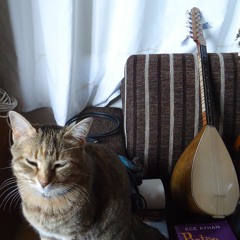 No calculation No correction