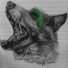 Study / Meditation / Concentration