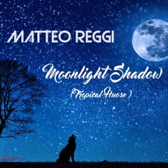 Moonlight Shadow - Mike Oldfield (Tropical House Bootleg) by Matteo Reggi