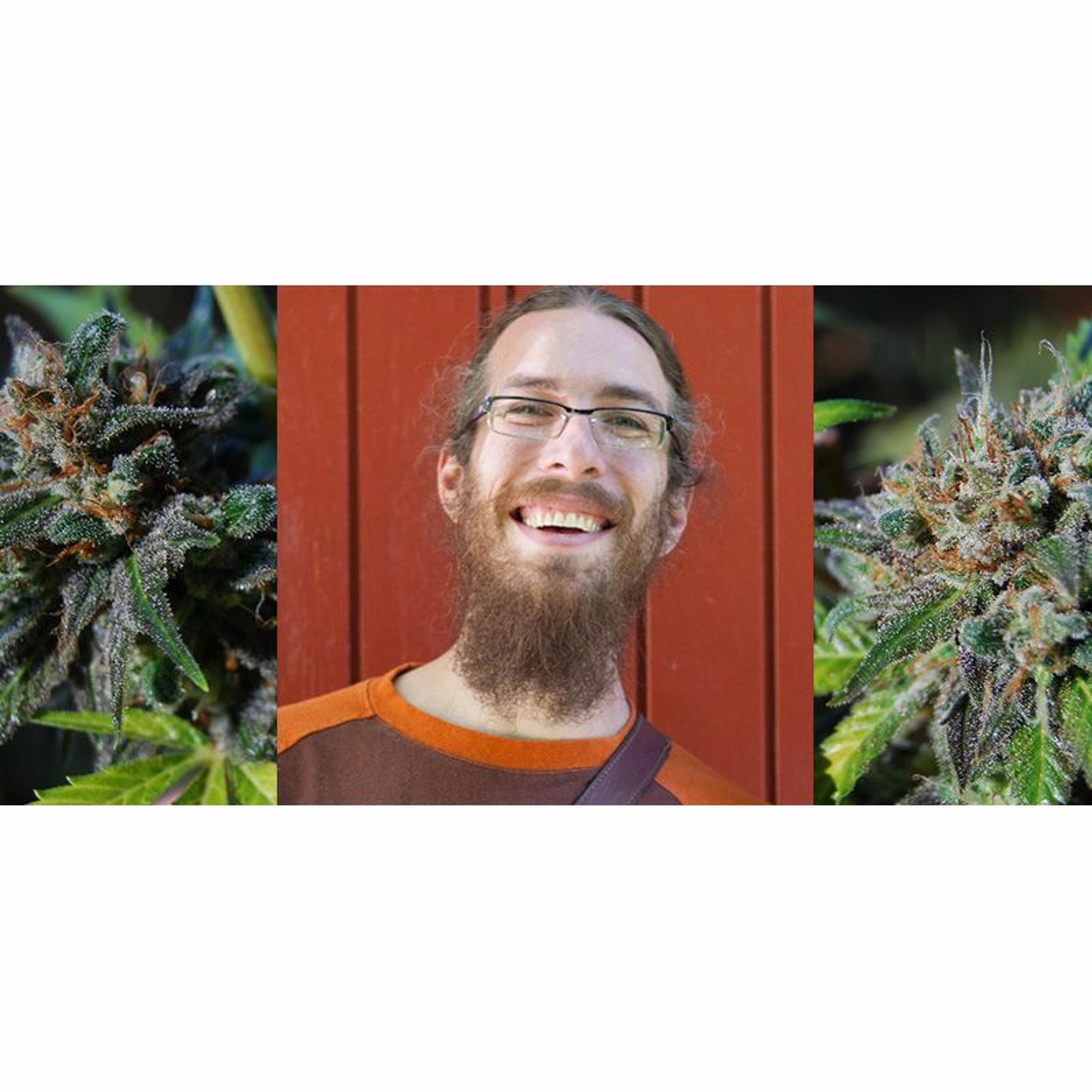 The Ganjapreneur Podcast