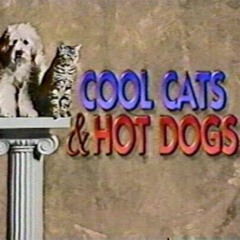 cool cats