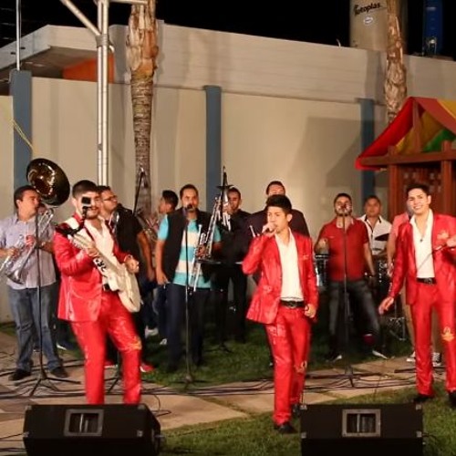 Alta Consigna Con Banda Renovacion- Asi Naci
