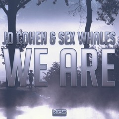Jo Cohen & Sex Whales - We Are