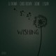 on DJ Drama &quot;Wishing&quot; featuring Chris Brown, Skeme, and Lyquin