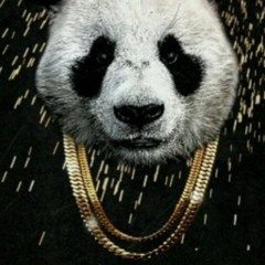 HOODYY-PANDA FREESTYLE