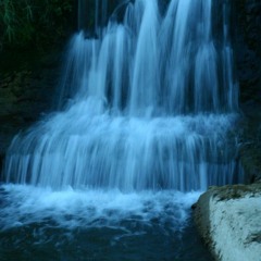 Salt Spring by John Reischman | Bluegrass Cover| Pretty Saro