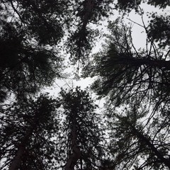 Where All Is Petrified And Dying