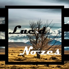 LucidNoizes - Drink'n'Drive (Original Mix)