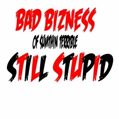 BAD BIZNESS (OF SUMTHIN TERRIBLE) STILL S - T-U - P-I - D