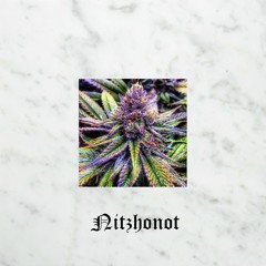 ⚡️NITZHONOT⚡️