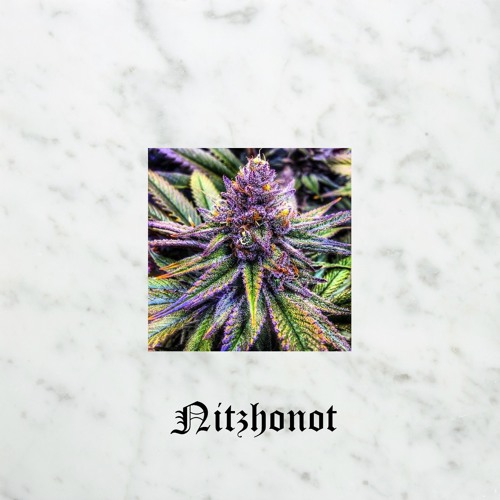 ⚡️NITZHONOT⚡️