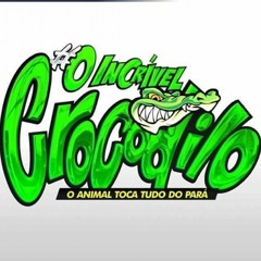 INCRÍVEL CROCODILO NO CANGALHA 09.01.2016
