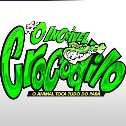 INCRÍVEL CROCODILO NO CANGALHA 09.01.2016