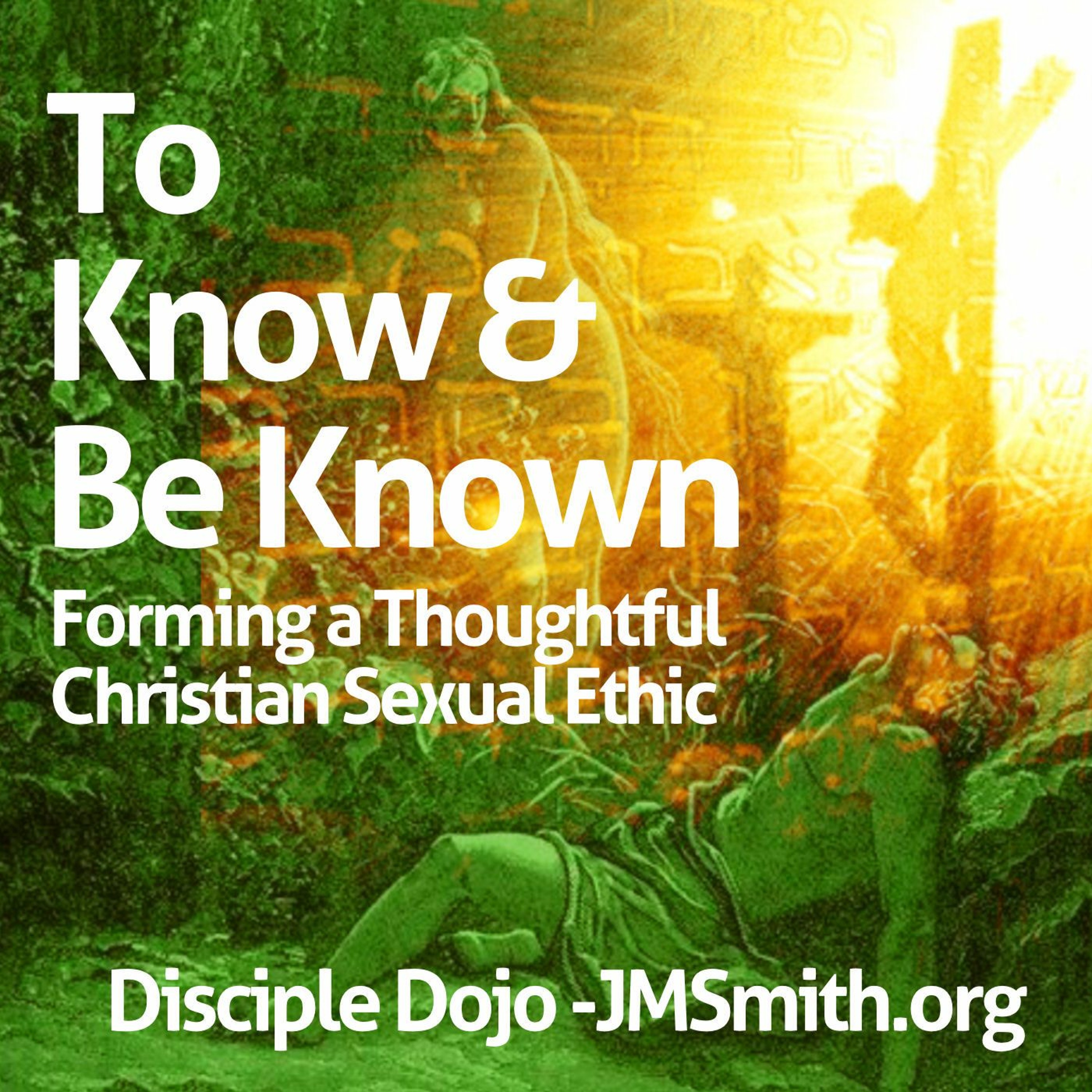 To Know and Be Known - Part 1: The Unfortunate Separation of Church & Sex episode artwork