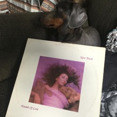 Kate Bush- Running Up That Hill (DF Tram's up the hill backwards mix)