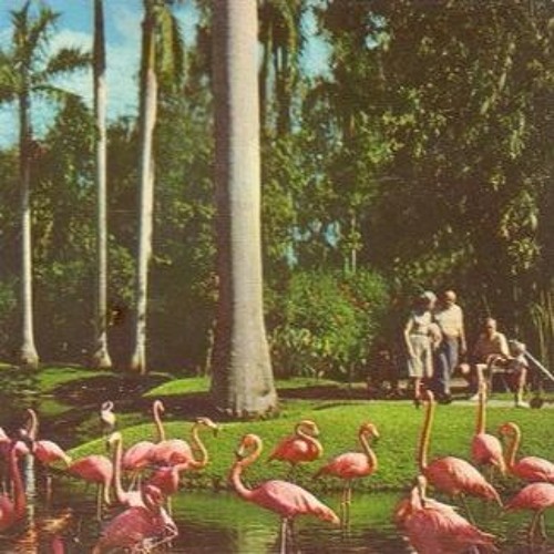 Island Signals [on bandcamp]
