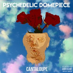Psychedelic Domepiece