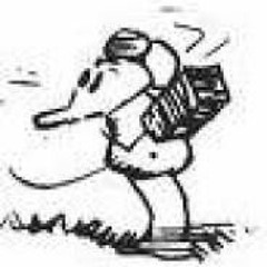 Don't Throw Me A Brick