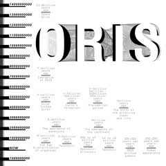 【YZML-12】ORIS XFD [M3-2016春：ク-11a]