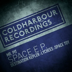 Mr. Pit - Destination Kepler [OUT NOW!]