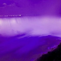 RIP Prince Set